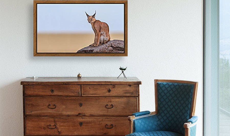 Caracal On Mars by 1x