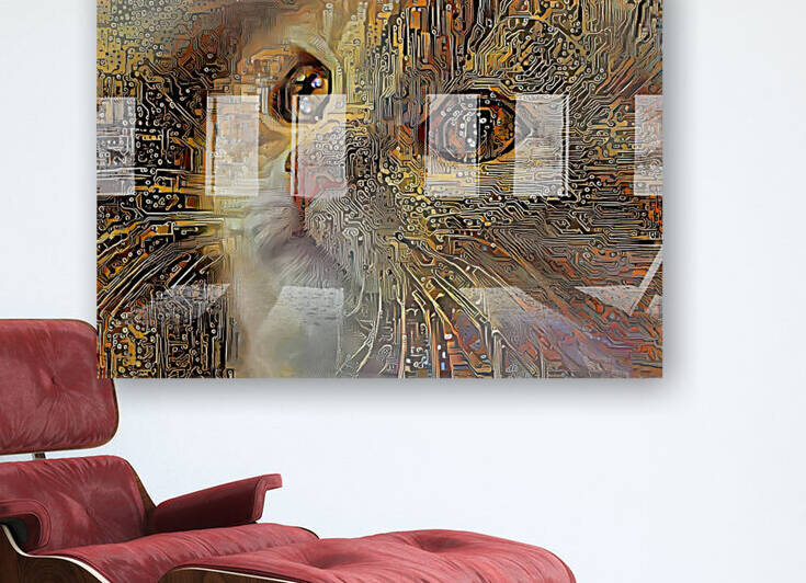 Chloe The Long Haired Tabby Cat by HH Photography of Florida