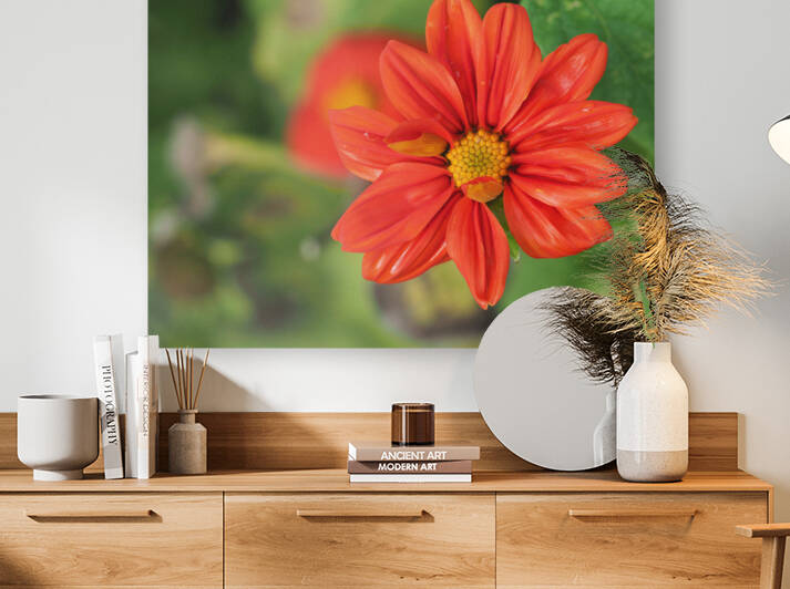 Red Dahlia by Suzanne Bonin