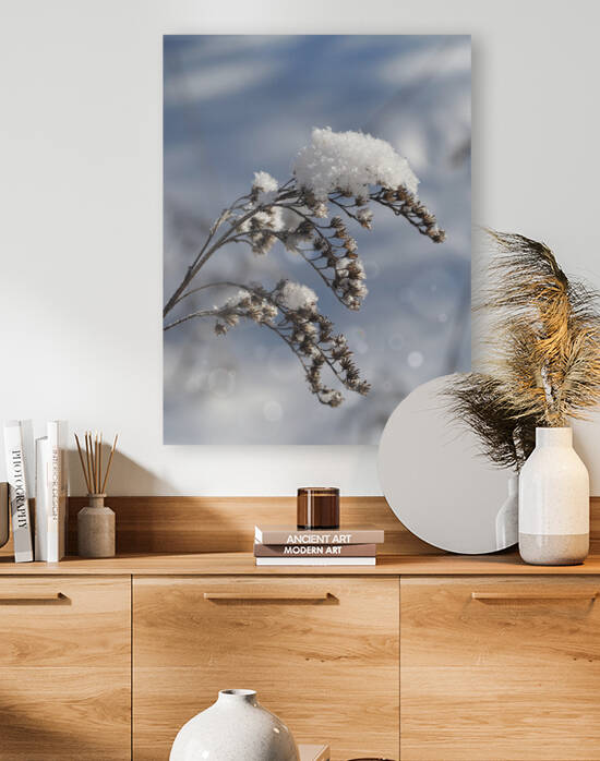 Frosted Twig by Suzanne Bonin