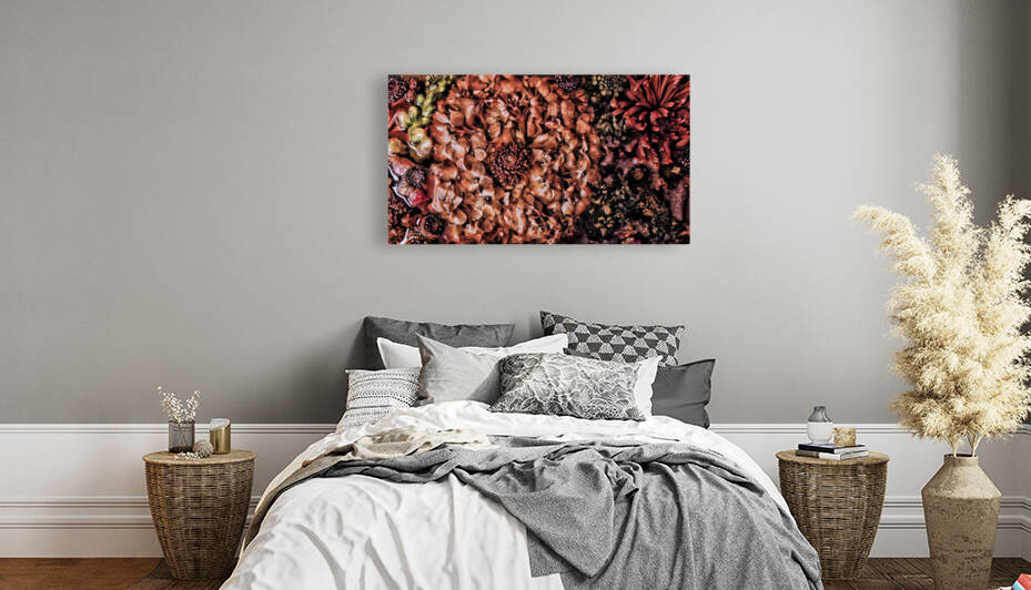 Thawed by Barbara Linkevitch