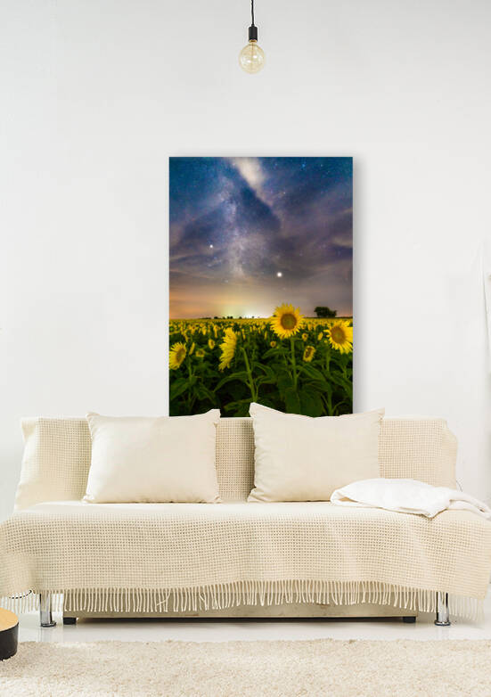 Sunflower Milky Way Stars by Joe Montiel