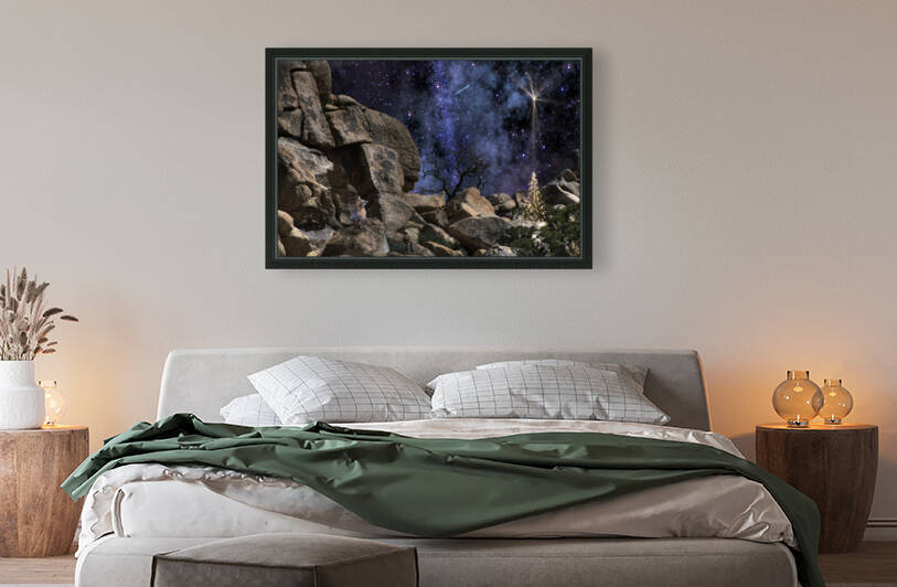 Coyote Christmas by Barbara Linkevitch