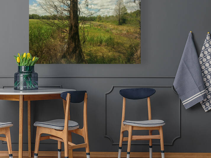 Tree in Field by Light Through Glass