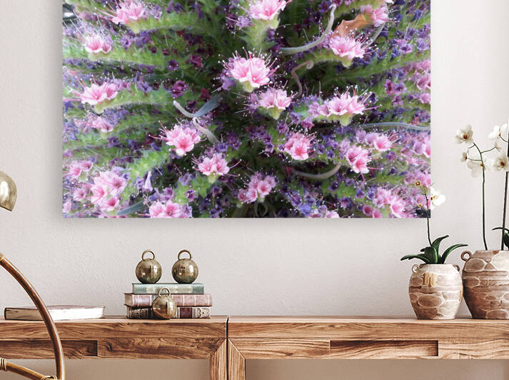 Flowers have Pistals by Light Through Glass