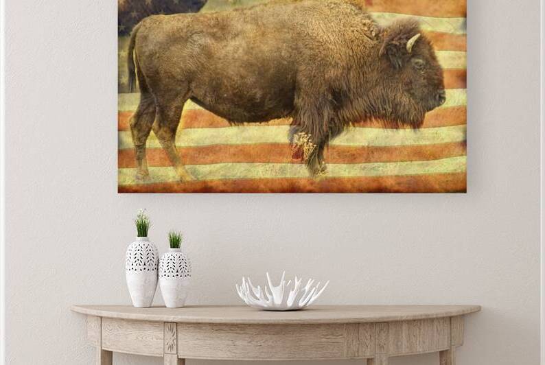 American Buffalo by Bo Insogna