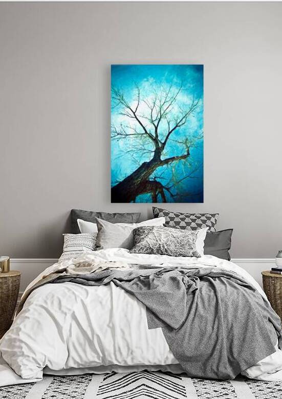 winter tree blue by Bo Insogna