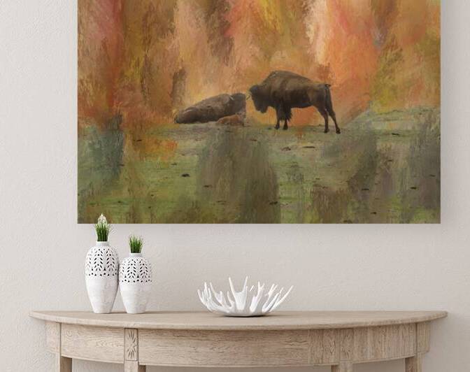 Young Buffalo by Bo Insogna