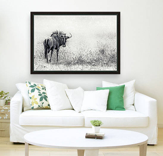 the endless grass-fields by 1x