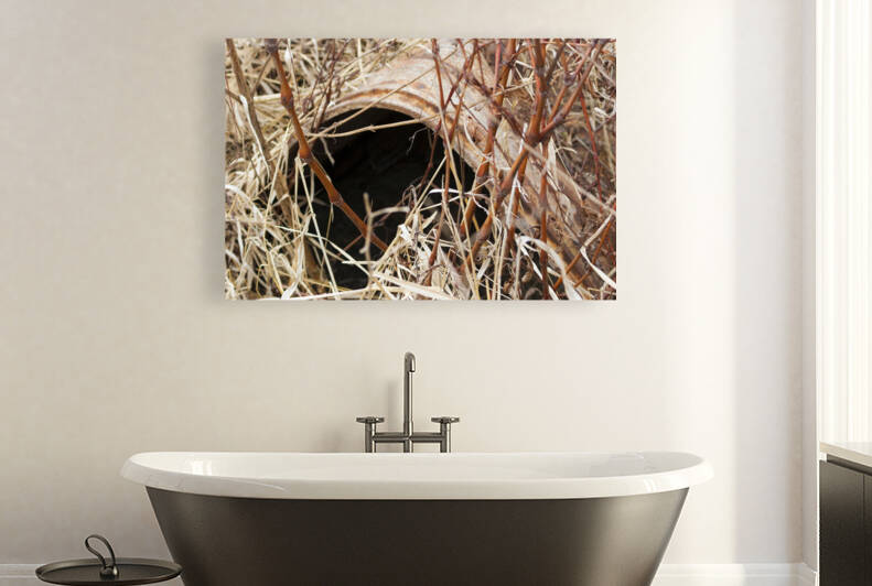 000007 by Grayton Media