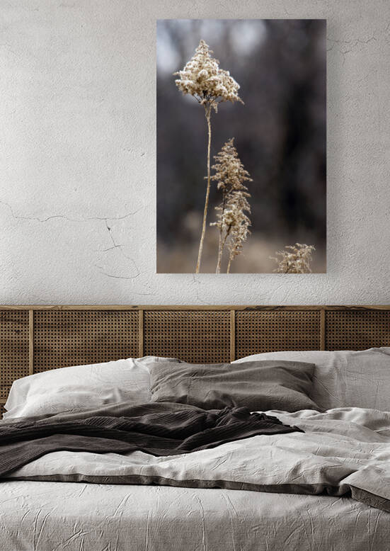 000013 by Grayton Media