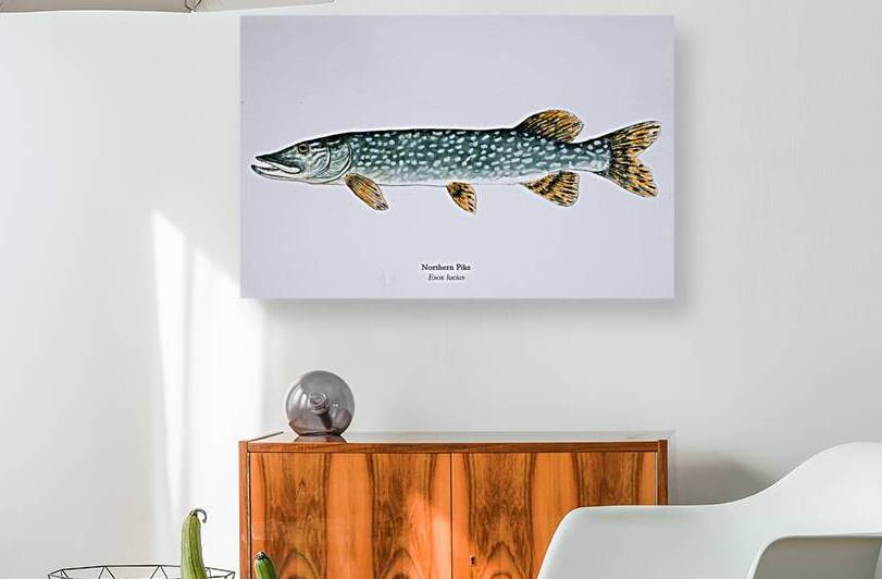 Northern Pike Painting by Stephen Emms