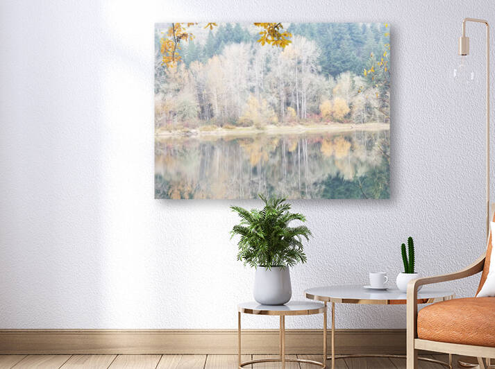 Fall Trees by earthdawg