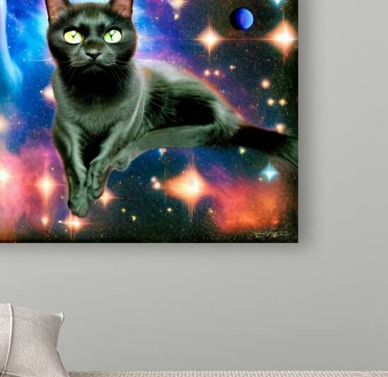 Black Cat Among the Stars by Bill Swartwout Photography