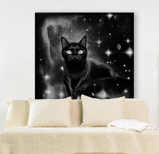 Black Cat Among the Stars in Monochrome by Bill Swartwout Photography