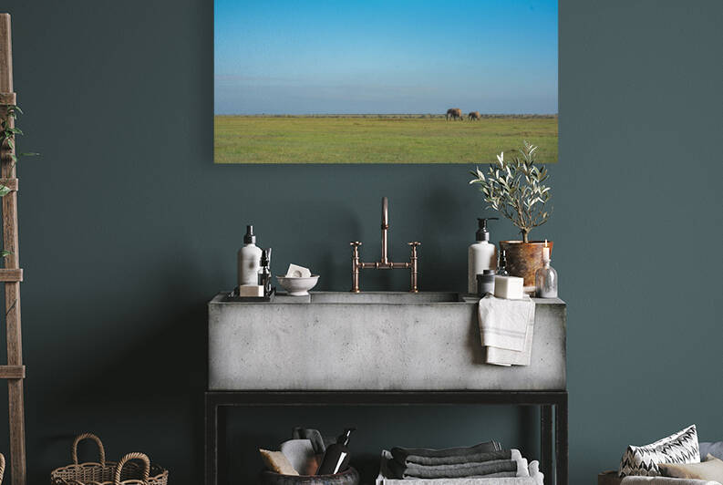 Elephants in a Meadow 2 - Ol Pejeta Conservancy Kenya by Two Dusty Travelers