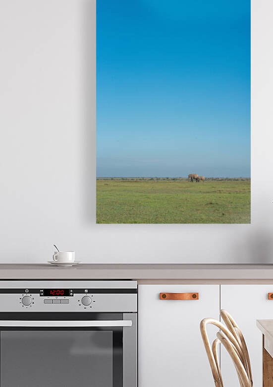 Elephants in a Meadow - Ol Pejeta Community Trust Kenya by Two Dusty Travelers