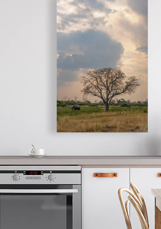 Elephants Snacking - Khwai Community Trust Botswana by Two Dusty Travelers