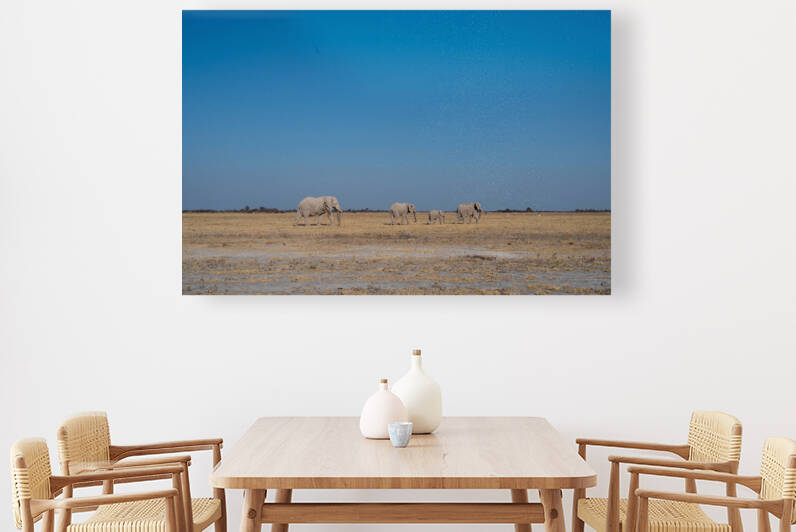 Elephant Journey - Nxai Pan National Park Botswana by Two Dusty Travelers