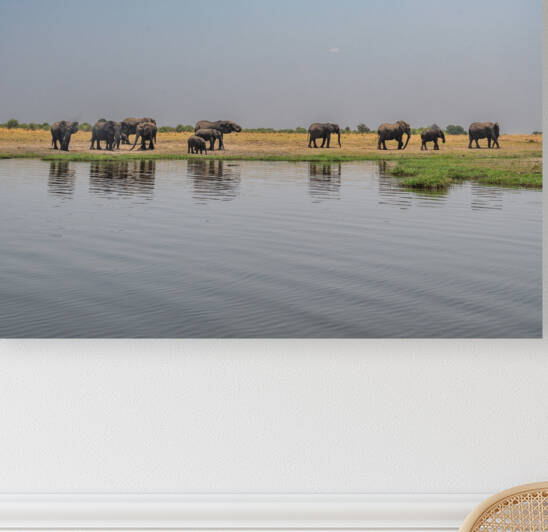 Elephant Reflections - Chobe National Park Botswana by Two Dusty Travelers