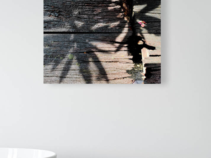 Old Wood and Shadow by Saowalux Poshyanandana