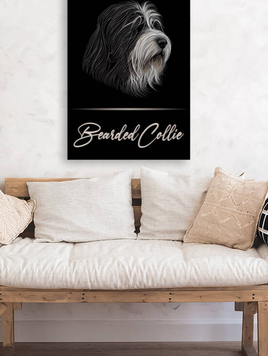 Bearded Collie by Best Breeds
