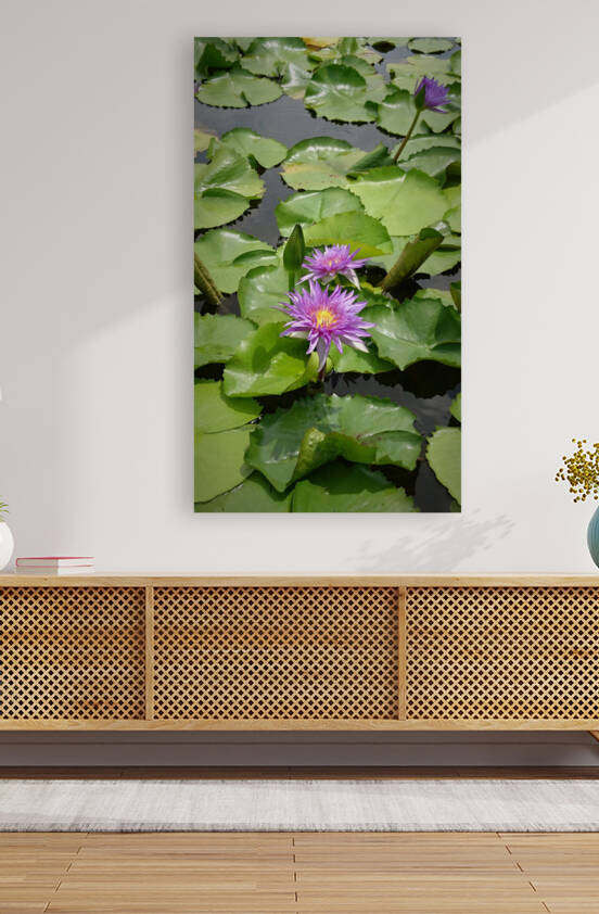 Purple Water Lilies by Saowalux Poshyanandana