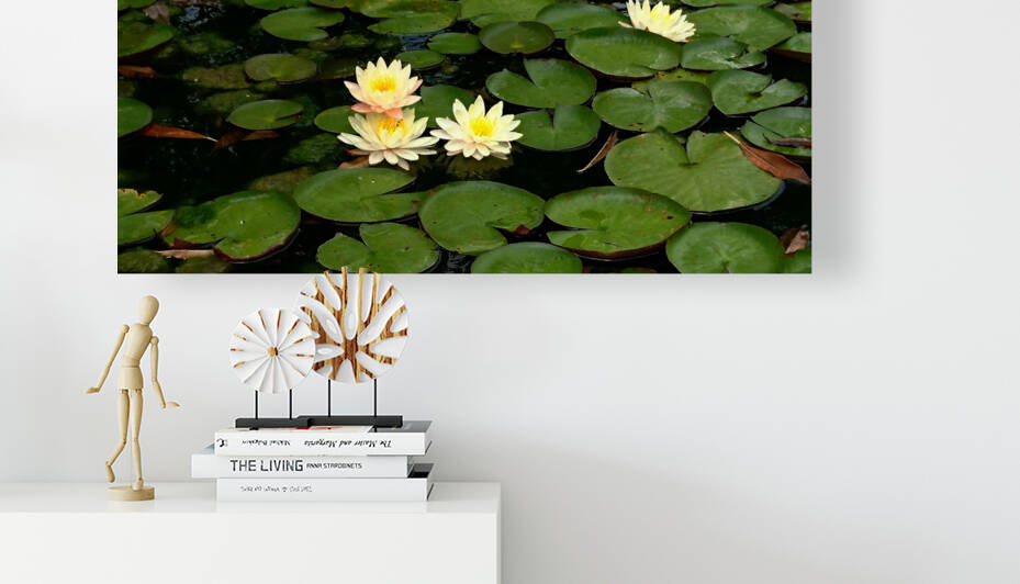 Yellow Water Lilies by Saowalux Poshyanandana