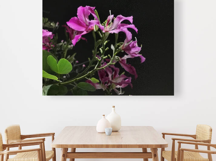 Pink Flowers at Night by Saowalux Poshyanandana