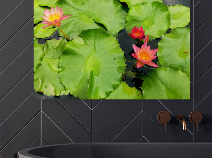 Water Lilies by Saowalux Poshyanandana