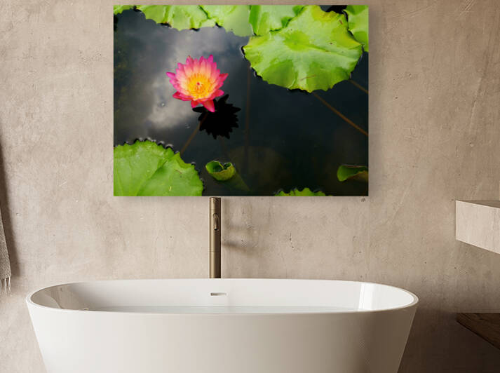 Water Lily by Saowalux Poshyanandana