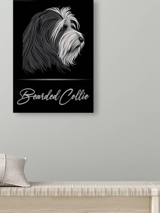 Bearded Collie Portrait by Best Breeds