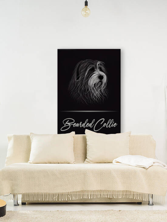 Elegant Bearded Collie by Best Breeds