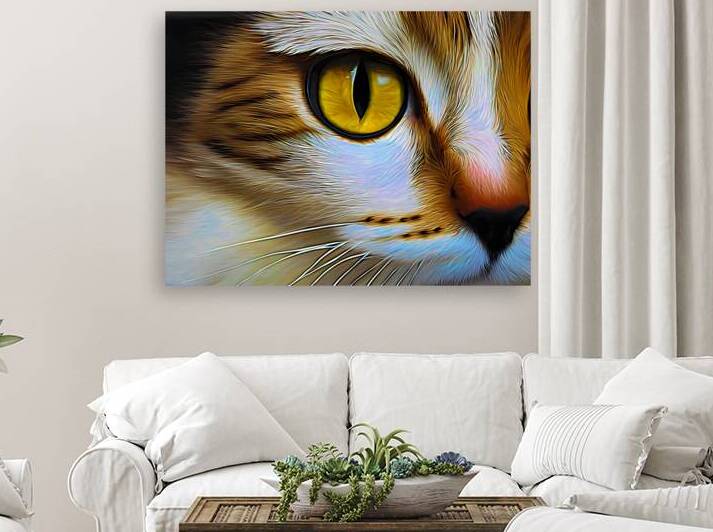 Cats Eye Expressionism by Bill Swartwout Photography
