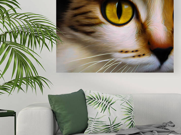 Cats Eye by Bill Swartwout Photography