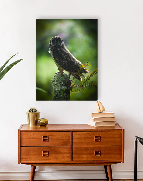 Owl on Perch by Kim Stagg