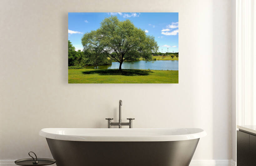 Solo Tree with Purpose by The NC Geek