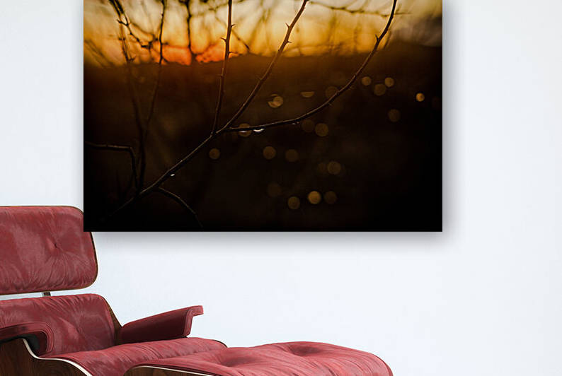 cavecreeksunset 21 by Nick LaRovere