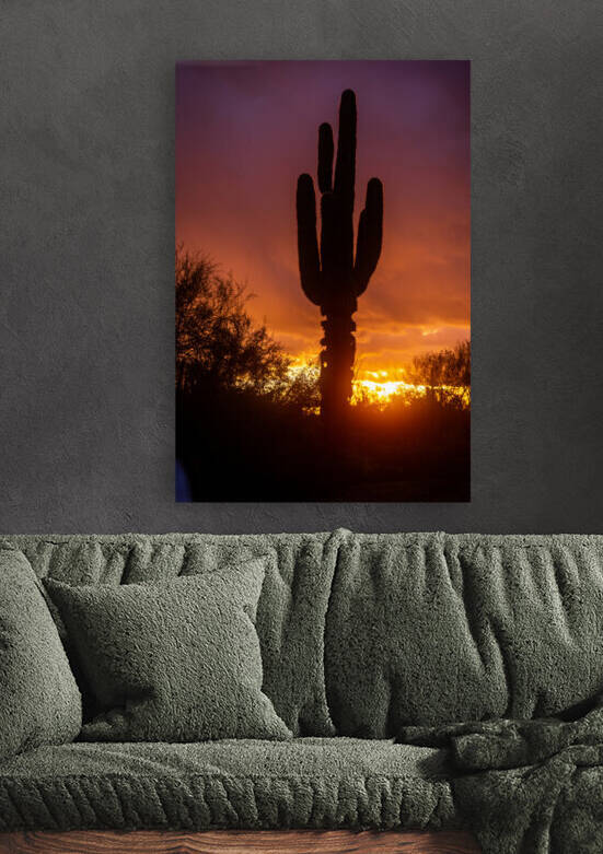 cavecreeksunset 02 by Nick LaRovere