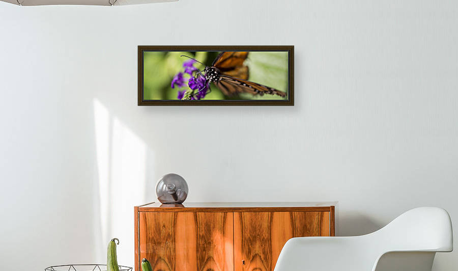 Butterfly Eye by Saige Eitman