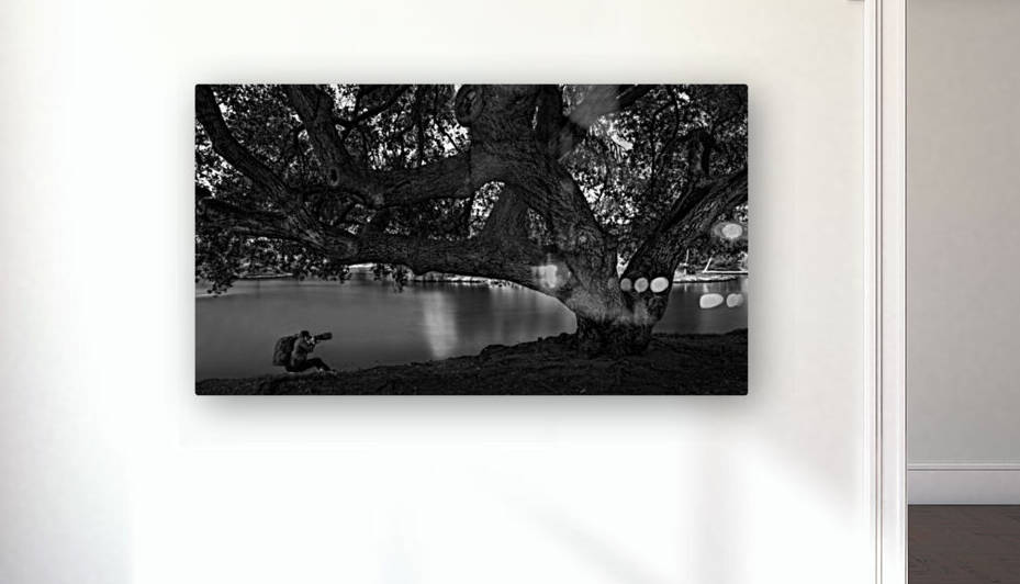 DJ 08580 by Darren Jackson