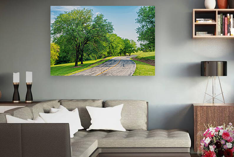 Curved Road And Elm Trees by Jennifer White