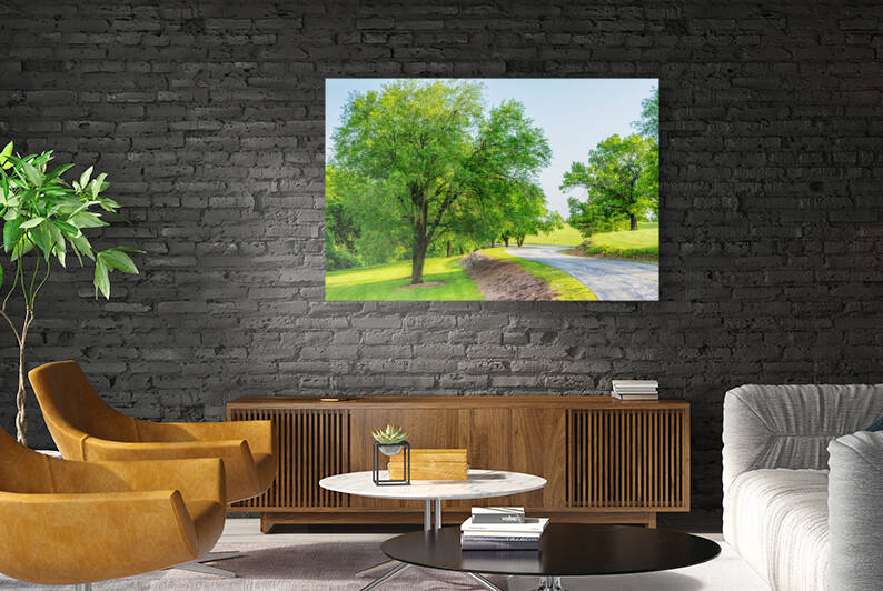 Curvy Road And Elm Trees by Jennifer White