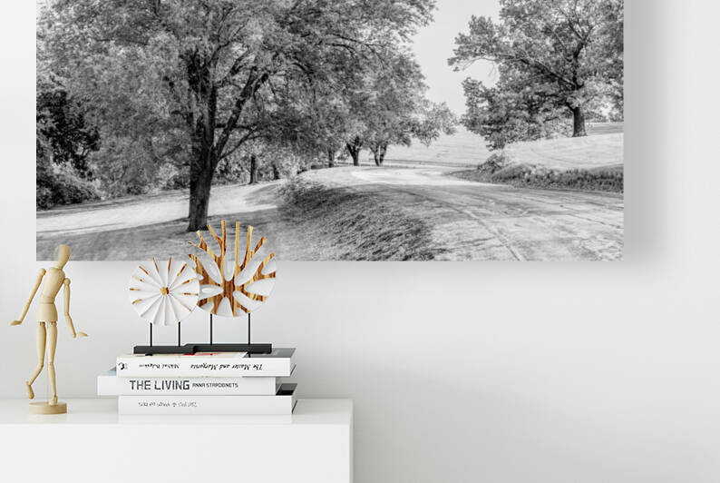 Curvy Road And Elm Trees Grayscale by Jennifer White