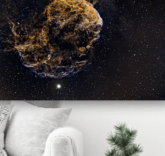 Jelly Fish Nebula by Dark Matter Astro