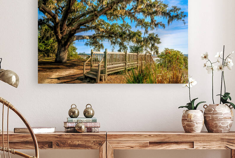 Bonaventure Cemetery by Shelia Hunt Photography