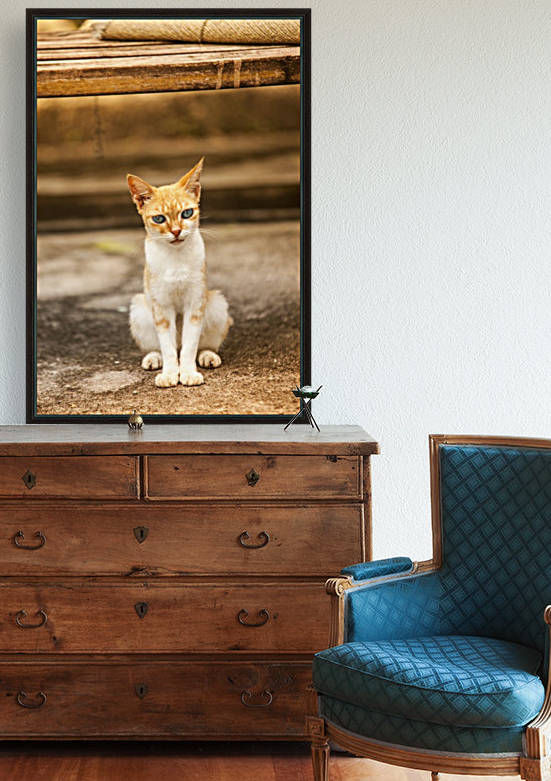 IMG_1320 by Audie Alexander