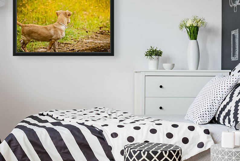 IMG_1401 by Audie Alexander