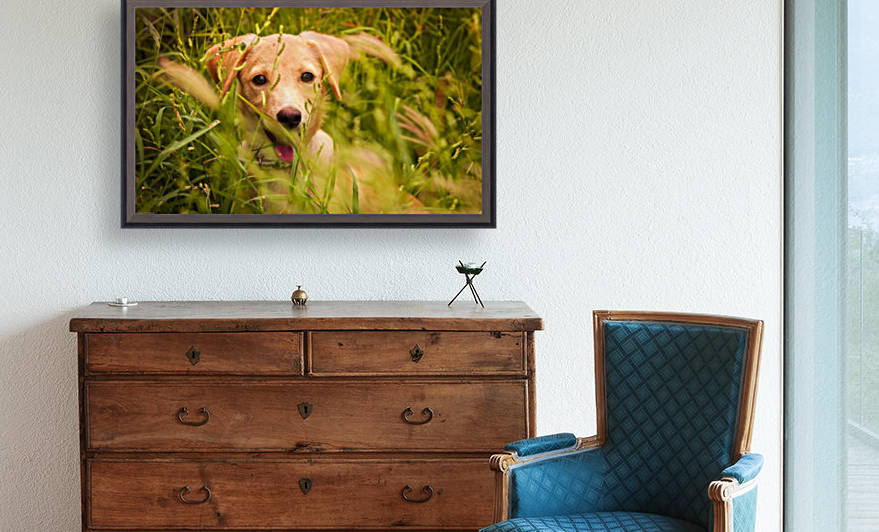 IMG_1411 2 by Audie Alexander