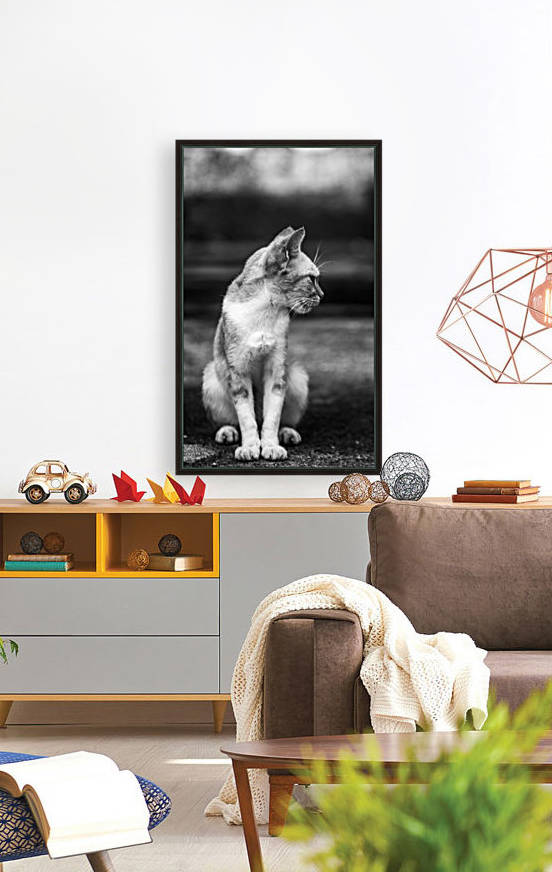 IMG_1324 by Audie Alexander